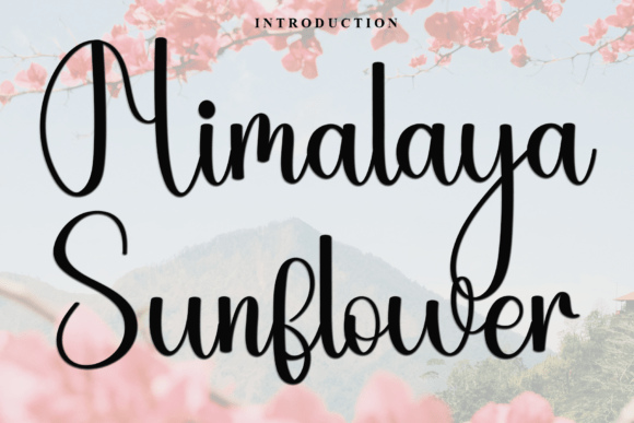 Himalaya Sunflower Font for Warm Branding Projects
