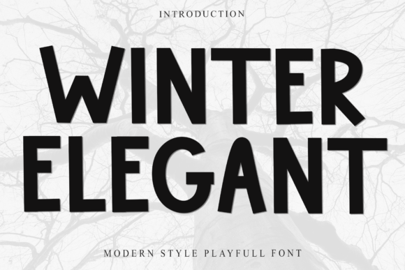 Winter Elegant: A Warm Sans Serif Font for Creative Branding